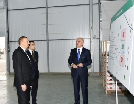 Prezident İlham Əliyev Zirə qəsəbəsində “BAKU AGROPARK”da görülən işlərlə tanış olub