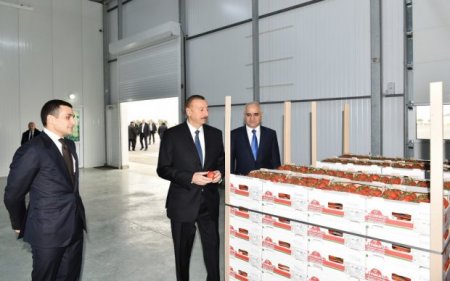Prezident İlham Əliyev Zirə qəsəbəsində “BAKU AGROPARK”da görülən işlərlə tanış olub