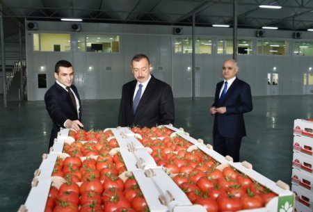 Prezident İlham Əliyev Zirə qəsəbəsində “BAKU AGROPARK”da görülən işlərlə tanış olub