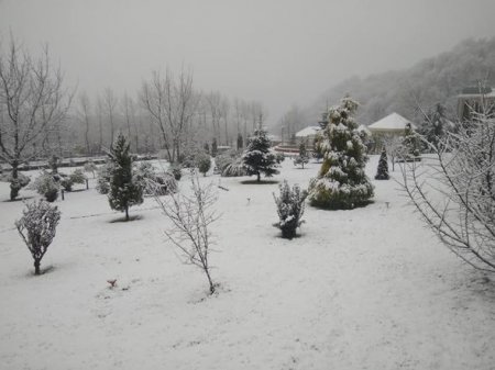 Azərbaycana qar yağdı