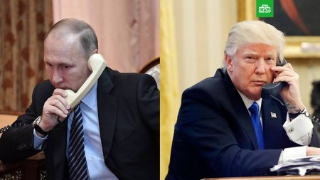 Putin Trampa zəng vurdu və təşəkkür etdi