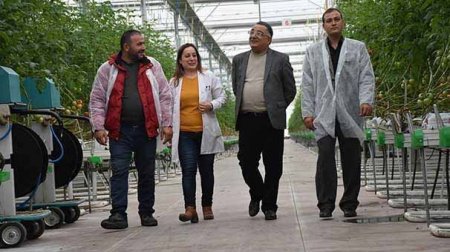 “Azərsun”un keçmiş vitse-prezidentinin 17 milyonluq biznesi batır: “İldə 3 milyon zərər edirəm...”