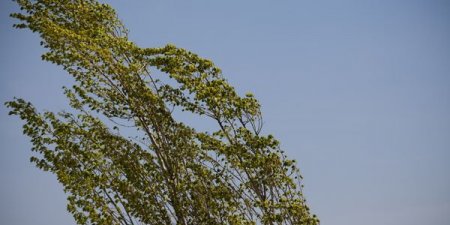 Sabah, dekabrın 22-də Azərbaycanda gözlənilən hava şəraiti açıqlanıb.
