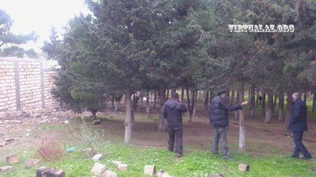 Bakıda 2.5 hektarlıq meşənin ələ keçirilməsi: ərazidə villa tikintisi başladı