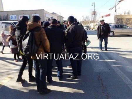 Salyanın mərkəzində vaşaq tutuldu
