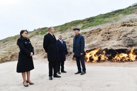 Prezident qoruqdakı vəziyyətə baxıb dedi: “Dözülməzdir...”