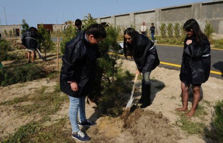 Bakıda Leyla Əliyevanın təşəbbüsünə dəstək verən sakinlərə hansı şirkət hücum çəkdi…