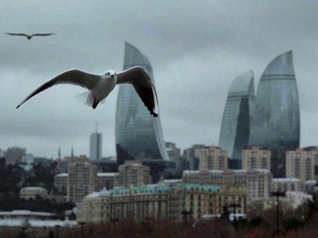 Sabah temperatur düşəcək, şaxta olacaq