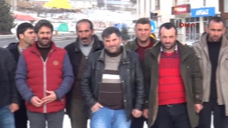 Tarixin ən böyük oğurluğu: 17 min iribuynuzlu heyvanı apardılar