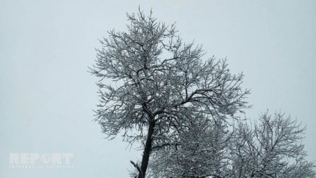 Şamaxı-Qızmeydan yolunda təhlükəli vəziyyət yaranıb