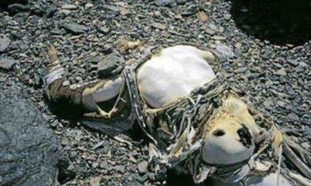 Zirvəyə çıxmaq üçün həyatını fəda edən alpinistlər