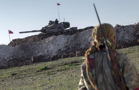 “Zeytun budağı”: Yüzlərlə terrorçu zərərsizləşdirilib