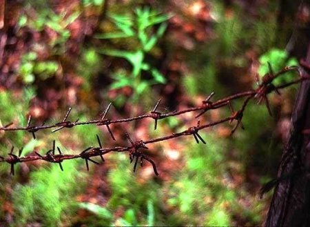Rusiya ölüm düşərgələrinin qapılarını açdı