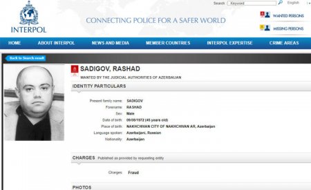 İnterpol Rəşad Sadıqovu axtarır
