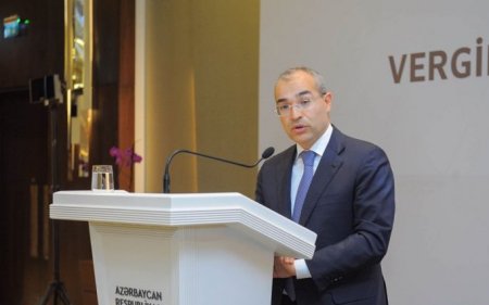“Vergi korrupsiyasının kökünü tam kəsəcəyik...”