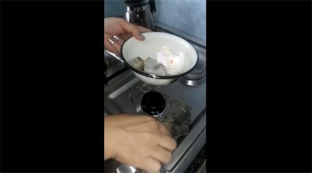 "Hacıqabul Broyler"in yumurtası "partlayıb", içindən əcaib maddə çıxıb