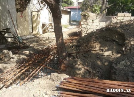 Heydər Əliyev: “Kəsilmiş ağacların yerində tikilmiş kafe və restoranlar dağıdılmalıdır”