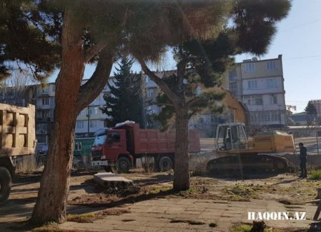Heydər Əliyev: “Kəsilmiş ağacların yerində tikilmiş kafe və restoranlar dağıdılmalıdır”