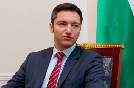 ATƏT PA-nın Cənubi Qafqaz üzrə nümayəndəsi istefa verdi