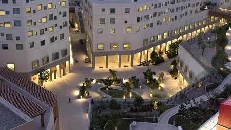 Gürcüstan məktəblisi Nyu-York Universitetinin 1 milyon dollarlıq qrantının qalibi olub