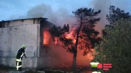 Respublika Narkoloji Dispanserində güclü yanğın: Ölən və xəsarət alanlar var