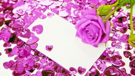 8 Mart - Beynəlxalq Qadınlar Günüdür