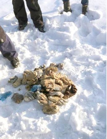 Rusiyada dəhşətli hadisə: çantadan 27 cüt insan əli çıxdı 