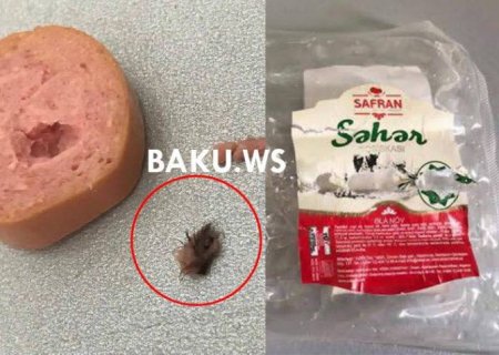 Bəşirovların nəcis, qurd, tük çıxan “Halal nemət, 1000 bərəkət”indən dəhşətli faktlar