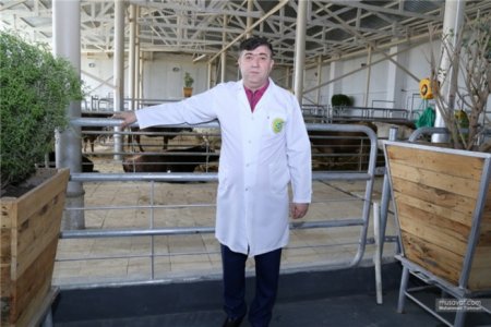 Bəşirovların nəcis, qurd, tük çıxan “Halal nemət, 1000 bərəkət”indən dəhşətli faktlar