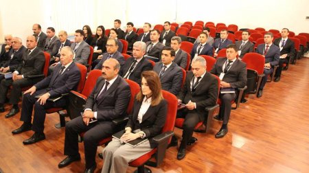 Şəmkir icra başçısının xanım müavini seçki təbliğatının qızğın çağında Dubayda istirahət edir
