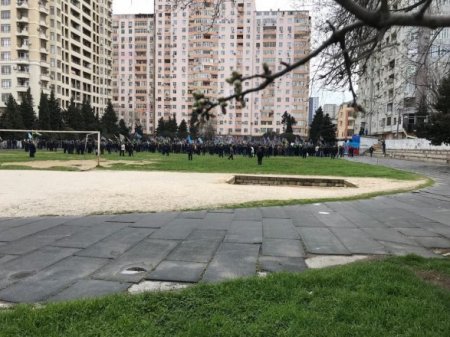 Əli Kərimli İlham Əliyevə necə kömək etdi