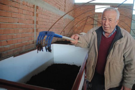 Çoxları iyrənir, o isə pula pul demir