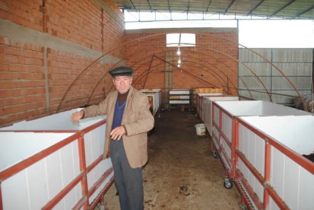 Çoxları iyrənir, o isə pula pul demir