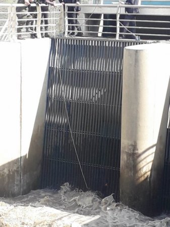 Qubada bir buzova görə iki nəfər özünü ölümün ağuşuna atdı, meyitlərini FHN çıxardı