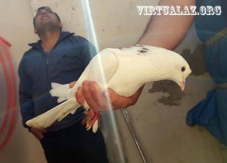 Bakının “Dağlı məhəlləsi”ində belə xəbərlər dolaşır ki…