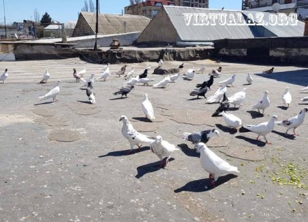 Bakının “Dağlı məhəlləsi”ində belə xəbərlər dolaşır ki…