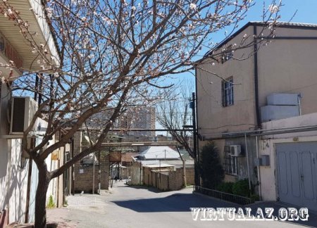 Bakının “Dağlı məhəlləsi”ində belə xəbərlər dolaşır ki…