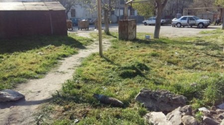 Sumqayıtda top mərmisi tapıldı