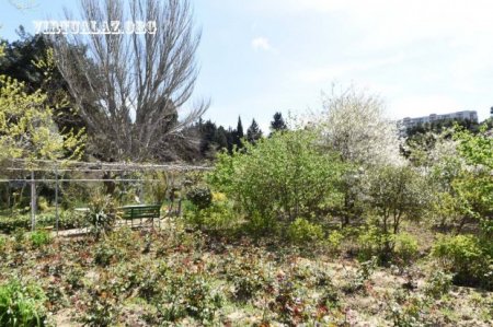 Azərbaycandan Rusiyaya keçən çox təhlükəli “qansoran” və ölkədəki vəziyyət