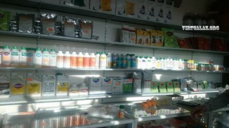 Azərbaycandan Rusiyaya keçən çox təhlükəli “qansoran” və ölkədəki vəziyyət