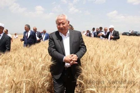 Azərbaycanda iki dost nazir həbs olunur