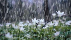 Hava dəyişir: leysan yağacaq, dolu düşəcək