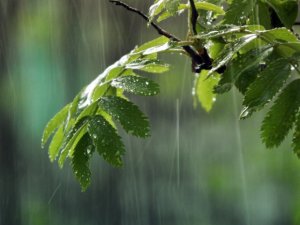 Sabah Bakıda 25 dərəcə isti olacaq