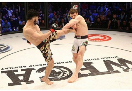 Dünyanın gözü Azərbaycanlı MMA ulduzu Tofiq Musayevdə