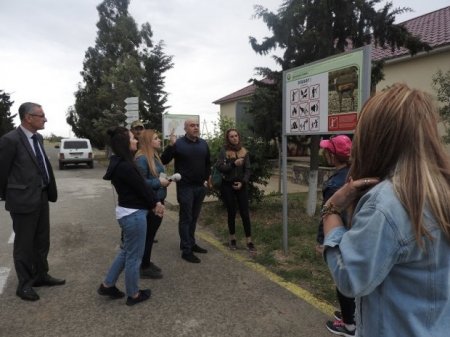 Nə gözəl yaraşır Muğana ceyran...