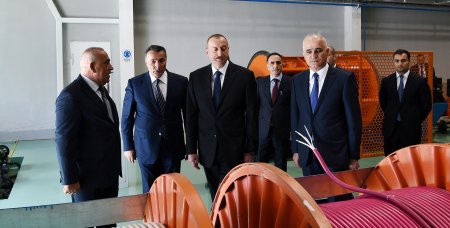 İlham Əliyev Bakıda zavodun açılışında iştirak edib