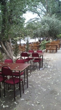 Cavadxan küçəsində yolu zəbt edən kafelər: eyş-işrət gecədən səhərə qədər davam edir