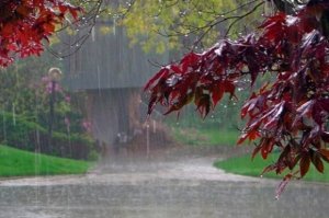 Hava yenidən dəyişəcək: yağış, leysan, dolu...