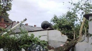 Güclü külək İsmayıllıda fəsadlara səbəb oldu