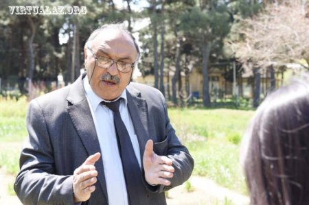 Azərbaycanda dərman bitkilərinin kökünü qazıyırlar...
